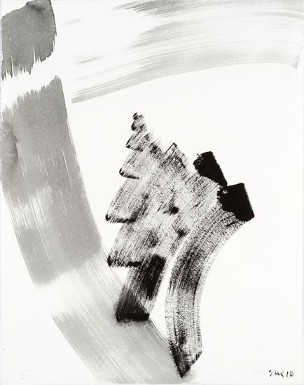 5-2010 dinamique 66x51 chf 2000.jpg